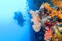 Jeep Safari Colored Canyon Salama & Snorkeling in the Blue Hole...