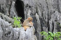 Private Halong Bay In Day