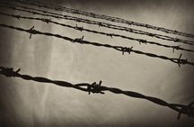 Stutthof Concentration Camp Regular Tour from Gdansk