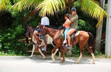 South Side Horseback Riding, Beach Break & Roundway Transfer