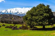 Samaria Long Way from Rethymno
