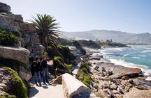 Whale Watching in Hermanus (landbased)