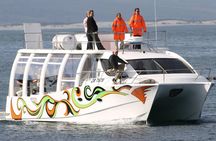 Whale Watching in Hermanus (landbased)