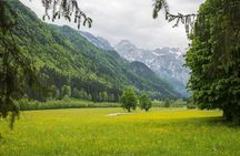 Private Logar Valley & Alpine Fairytale Tour from Bled