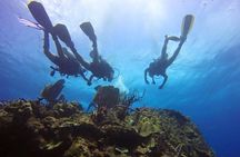 Catalina Island Scuba Diving and Snorkeling Tour from Punta Cana