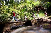 Waterfall Cycling Adventure In St. Lucia 