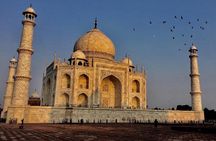  Taj Mahal Tour From Delhi