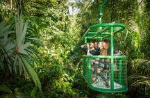 Hike at Rainforest Adventures Costa Rica Braulio Carrillo