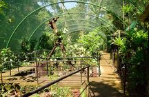 Braulio Carrillo Half Day Pass including Aerial Tram Tour