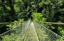ARENAL DISCOVERY ADVENTURE (3):Hanging Bridges, Waterfall & Lunch