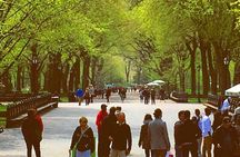 Pedicab Guided Tour of Central Park