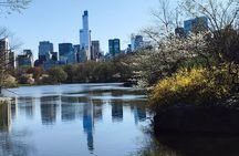 Pedicab Guided Tour of Central Park