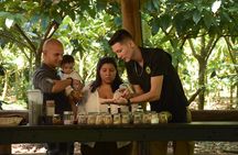 Rainforest Chocolat & La Fortuna Waterfall Adventure