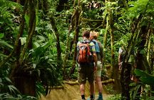 La Fortuna Waterfall Park & Farm to Table Lunch