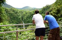 La Fortuna Waterfall Park & Farm to Table Lunch