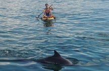 Watamu Marine Park & Sudi Island Mangrove Forest Canoe Ride.With sea food lunch