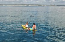 Watamu Marine Park & Sudi Island Mangrove Forest Canoe Ride.With sea food lunch