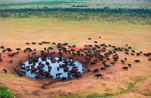 2 Days Tanzania Safari - Lake Manyara and Tarangire National Park