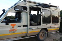 Addo Elephant 5 hour Morning Safari.