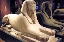 Egyptian Museum of Turin Private Tour with Expert Guide & Skip-the-line Tickets