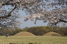 2 Days Gyeongju Private Tour from Seoul and Near Seoul