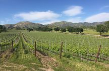 Santa Barbara Wine Tour Experience - Authentic and Boutique 