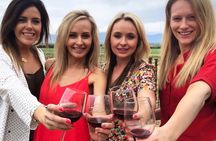 Santa Barbara's Original Afternoon Winery Tour