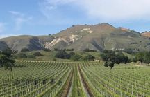 Santa Barbara's Original Afternoon Winery Tour