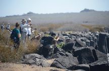 4-Day Galapagos Tour: Santa Cruz & 2 Uninhabited Islands