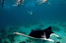 5 Night Ningaloo Reef Ningaloo Escape from Coral Bay