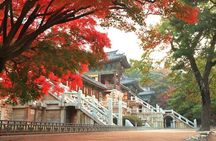 Gyeongju ONE-DAY Highlights for PRIVATE CRUISE PASSENGER'S