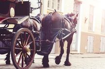 Aswan City Private Tour By Horse Carriage