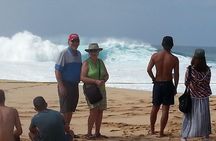 8-Hour Luxury Four Door Convertible Tour of Oahu's South and North Shores