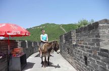 Mutianyu Great Wall and Summer Palace Private Day Trip with Lunch