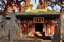 Private Day Tour to Shaolin Temple and Longmen Grottoes from Zhengzhou