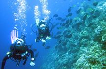 Fun Boat Dive for certified diver
