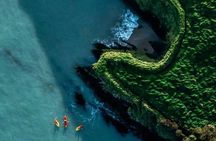 Sea Cave Kayaking Experience