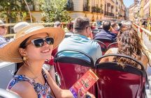 San Antonio River Cruise & Hop-On Hop-Off Tour
