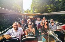 Hop-On Hop-Off Tour, Buckhorn Saloon and Museum of Art Admission