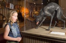 Hop-On Hop-Off Tour, Buckhorn Saloon and Museum of Art Admission