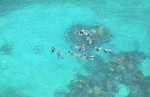 Island Contoy Adventour & Buffete & Isla Mujeres only from Cancun
