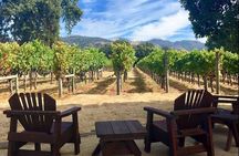Santa Rosa North Sonoma County Small Group Winery Tour