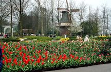 Private Day Trip from Amsterdam to Keukenhof with Entrance Tickets