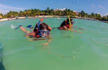 Akumal Marine Turtle Daily Tour
