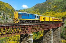 Dunedin Shore Excursion: Taieri Gorge Railway & City Sightseeing 