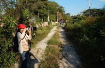 Private Birdwatching Tour