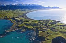 Kaikoura Whale Watch Day Tour from Christchurch