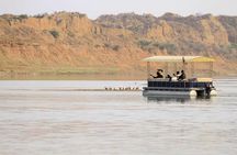 2-Days Ranthambore Safari Tour Frm Jaipur with Delhi / Agra / Jaipur drop