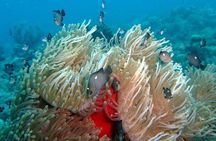 Exploration dives for experienced divers