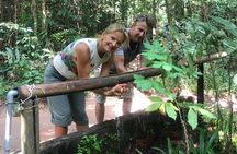 Private Cu Chi Tunnels Half-Day Tour
